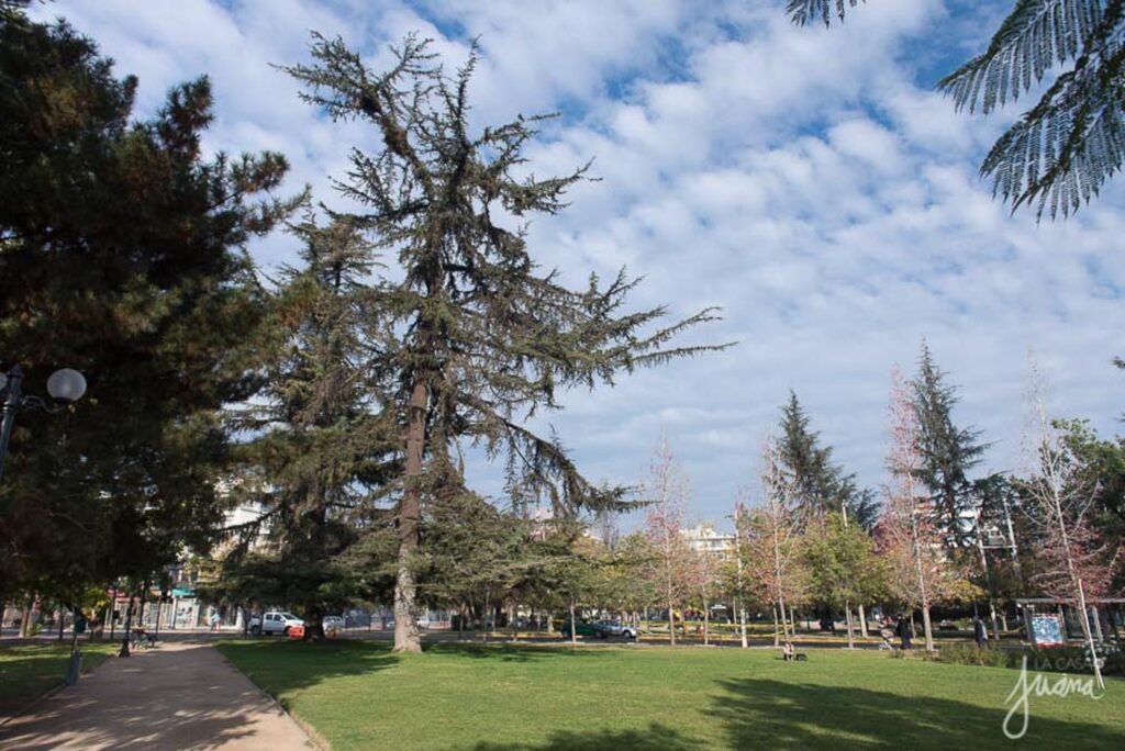 Barrio Las Lilas: tranquilidad, historia y vida barrial en pleno corazón de Providencia