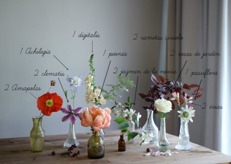 Belleza del jardín