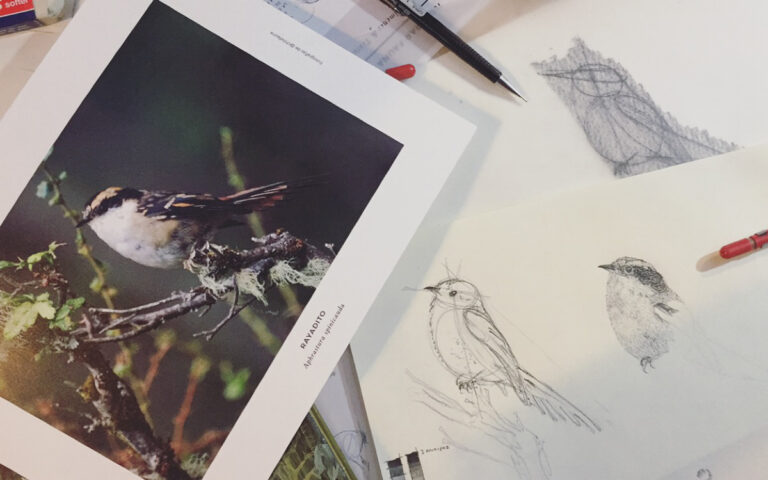 Ilustración & naturaleza: Workshops  por Antonia Reyes en Líbrería Qué Leo