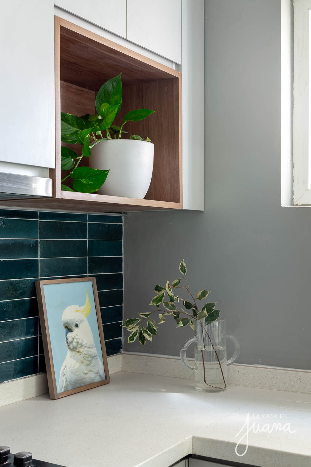 Piso_Traiguén_image_13