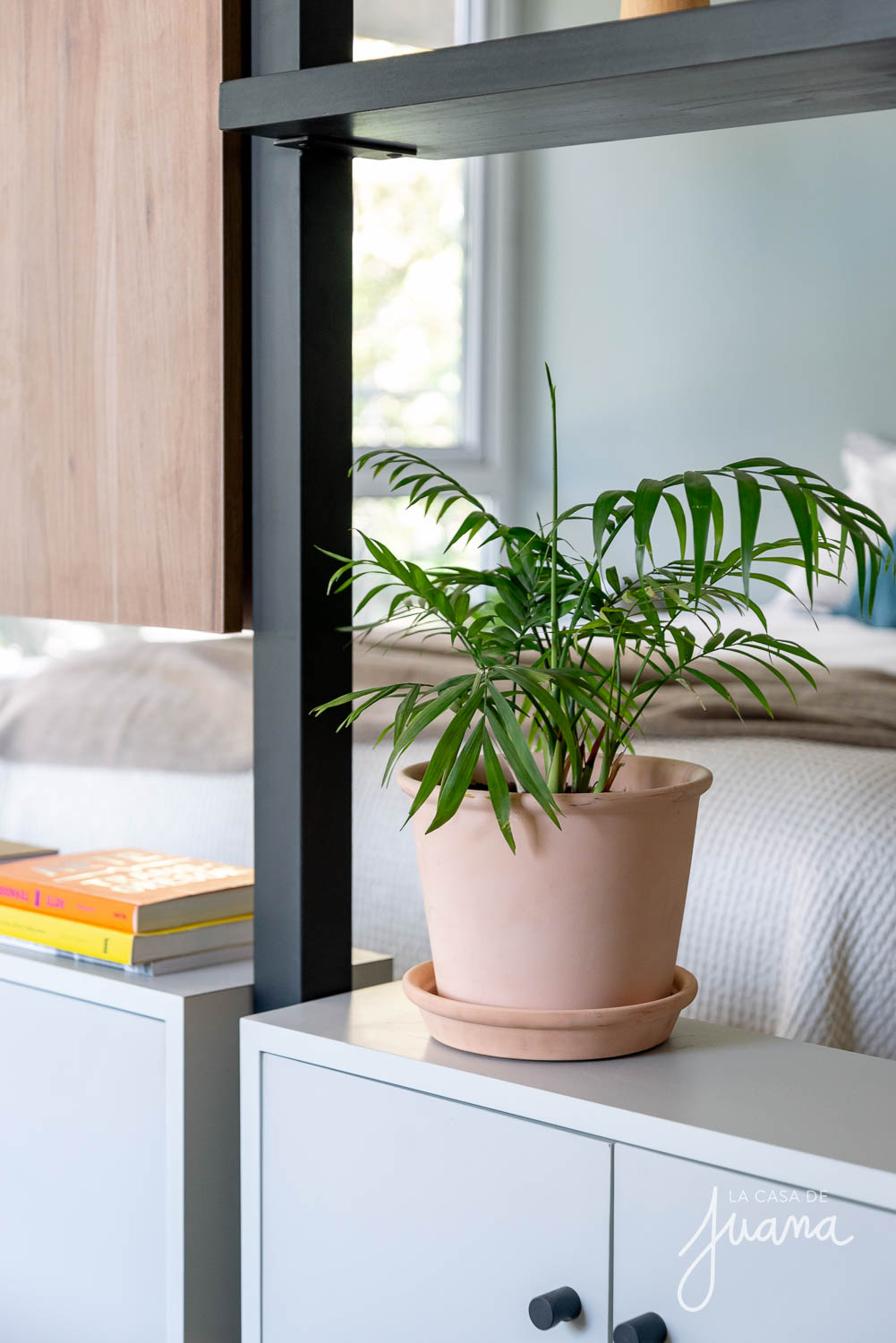 Piso_Traiguén_image_19