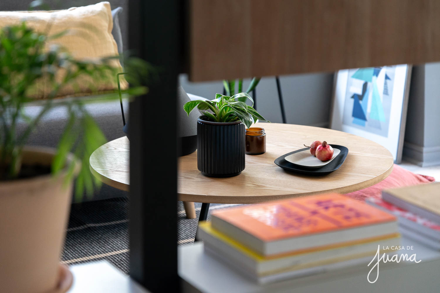 Piso_Traiguén_image_27