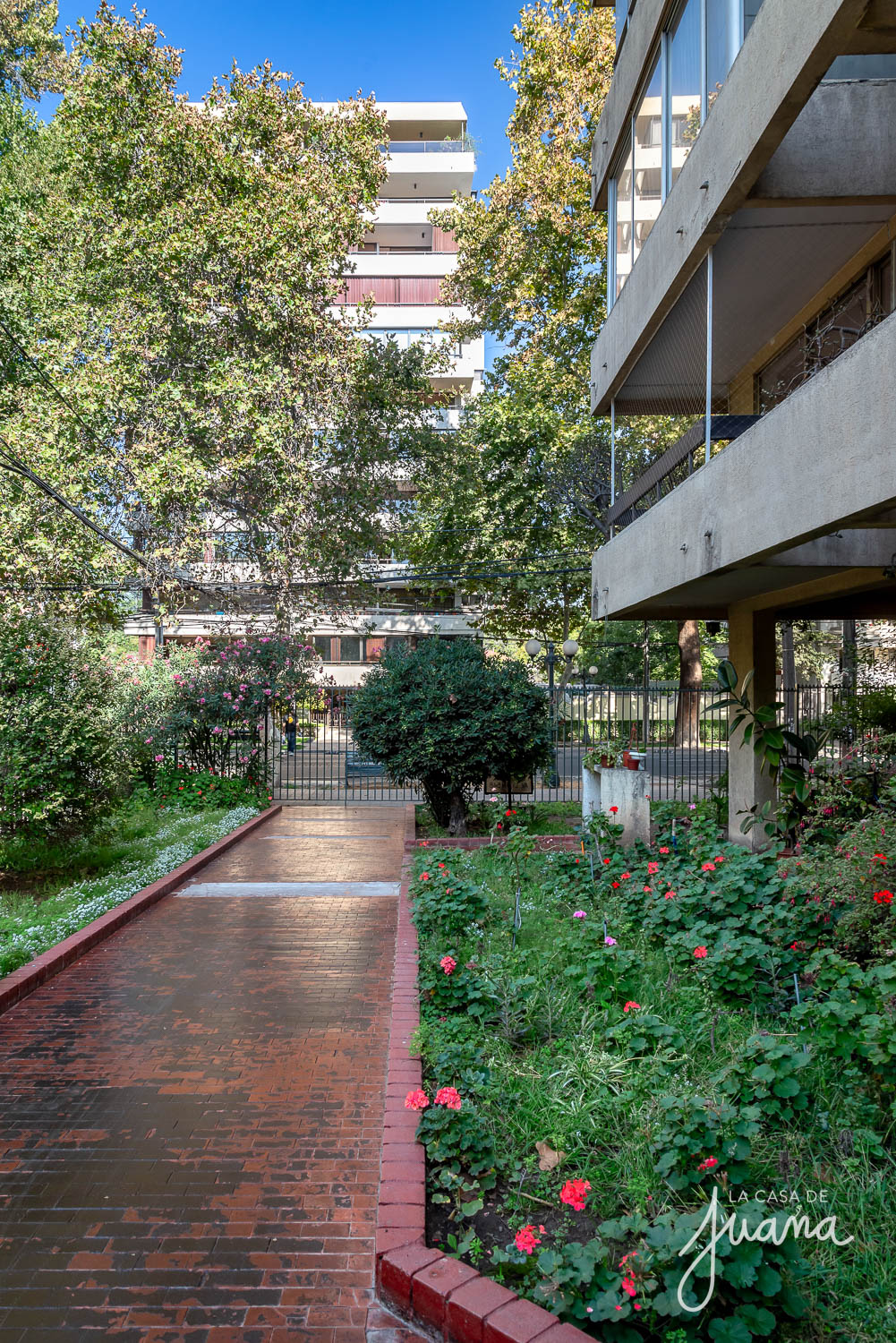 Piso_Traiguén_image_35