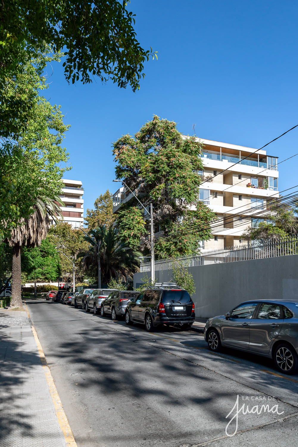 Piso_Traiguén_image_36