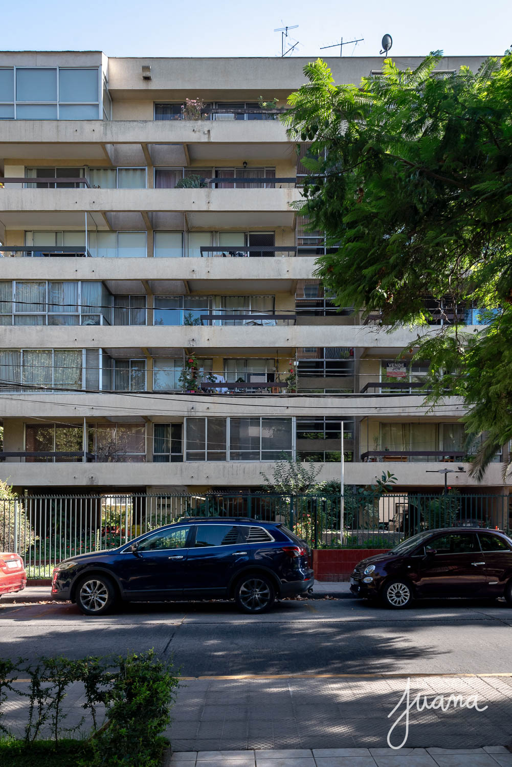 Piso_Traiguén_image_37