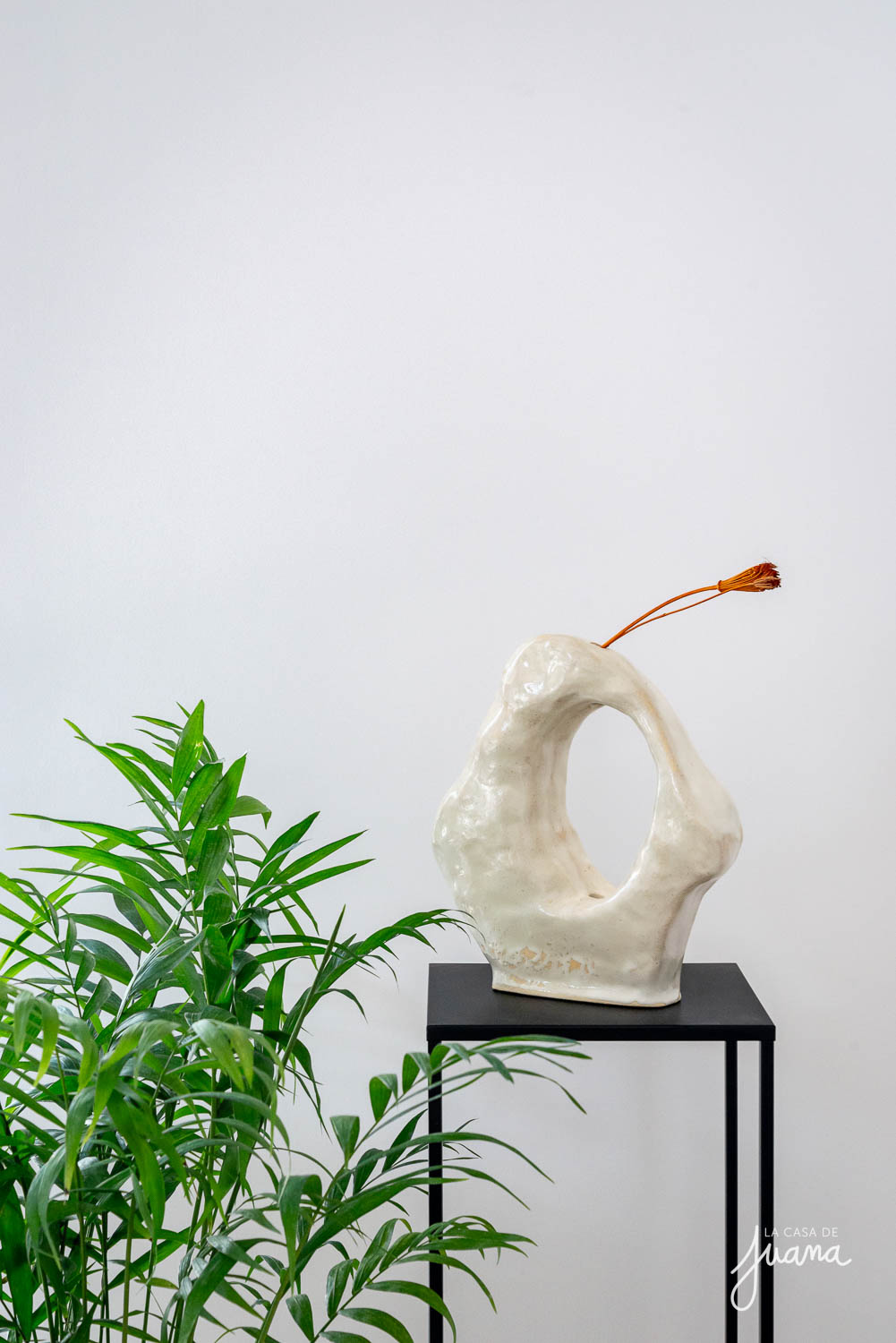 Casa_Vicuña_Cifuentes_image_13