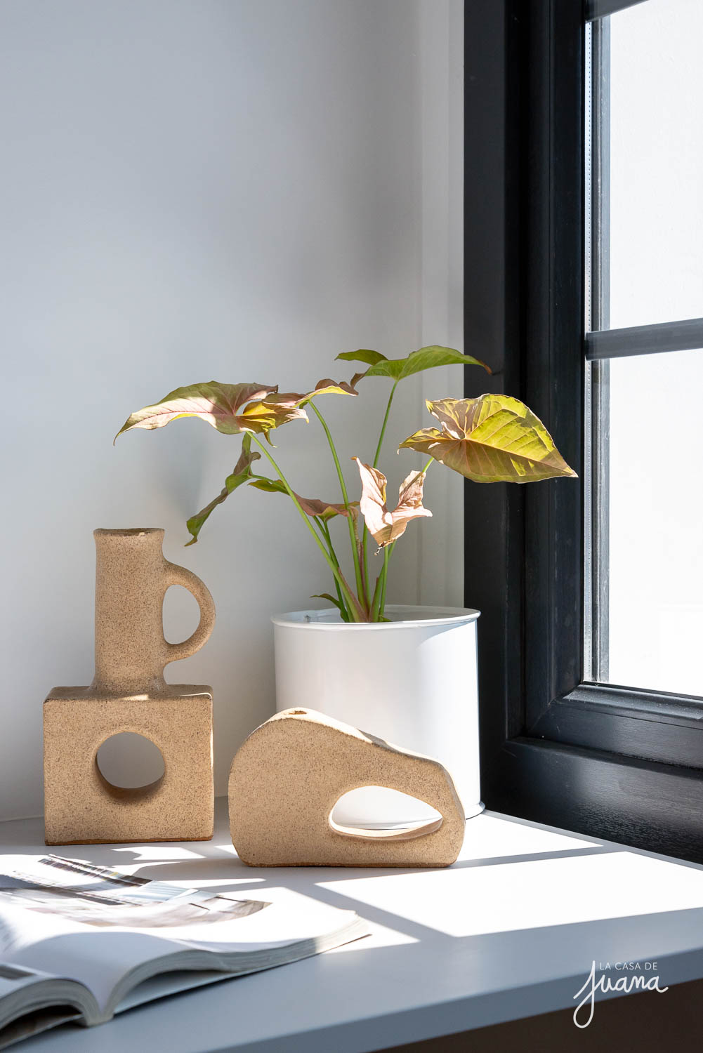 Casa_Vicuña_Cifuentes_image_44