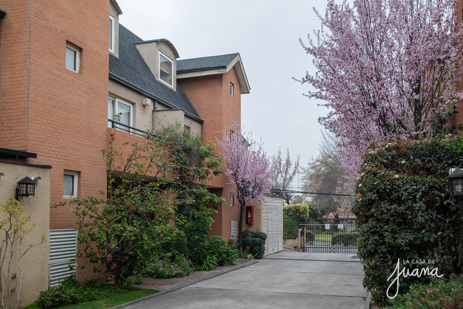 imagen Casa Príncipe de Gales II
