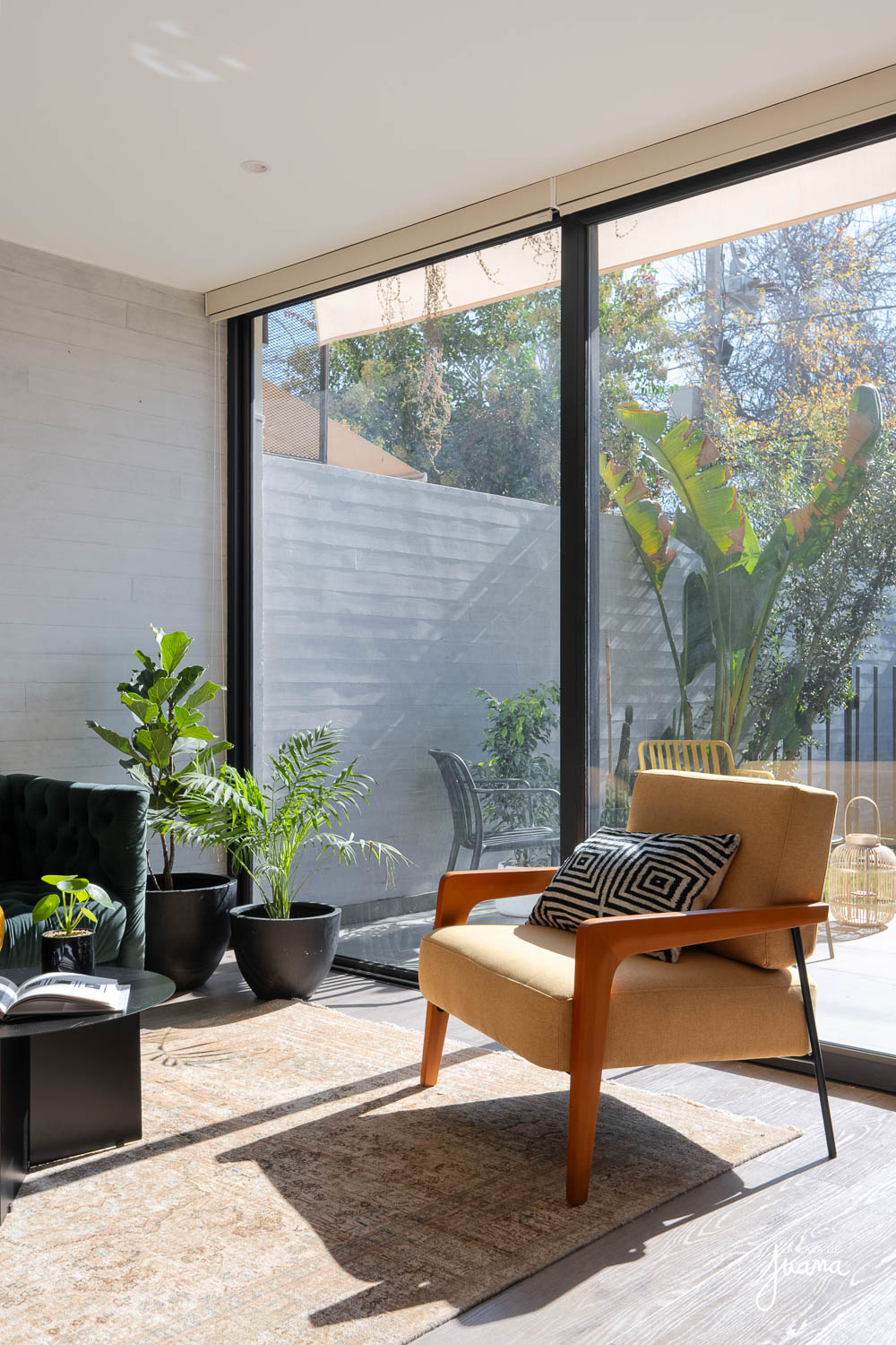 imagen PATIO GARCÍA PICA