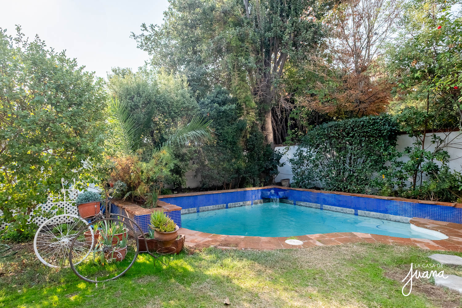 imagen CASA LOS GLADIOLOS