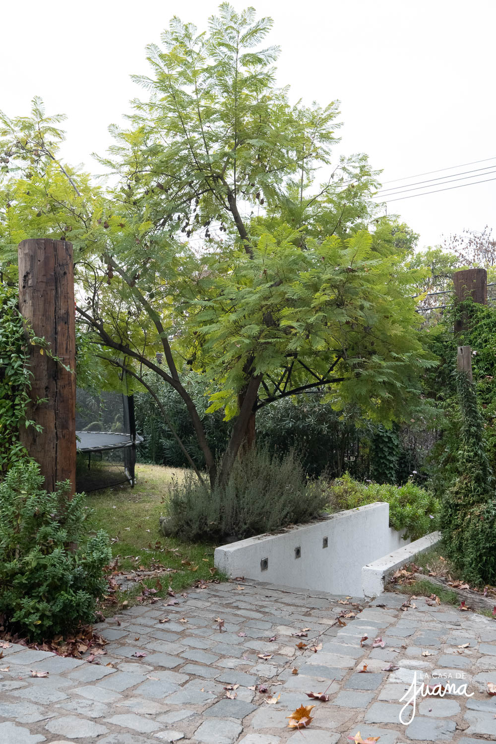 imagen CASA CAMINO EL OLIVAR
