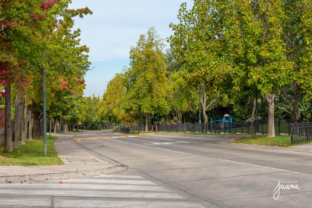 Vista de una calle residencial arbolada en San Carlos de Apoquindo.