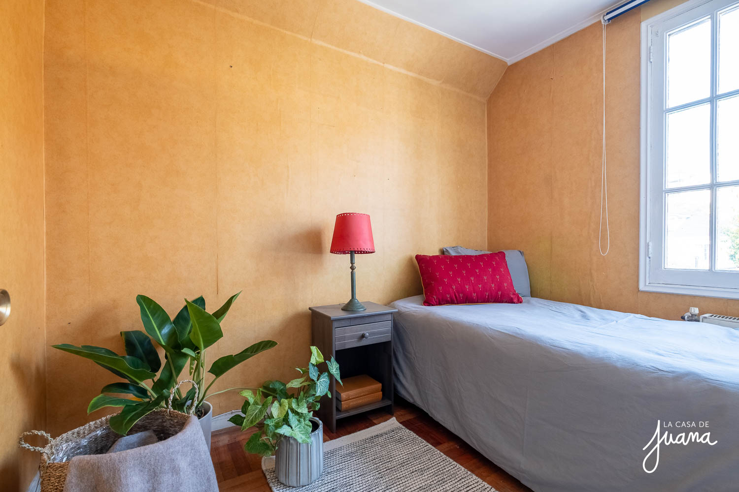 imagen CASA LOS GLADIOLOS
