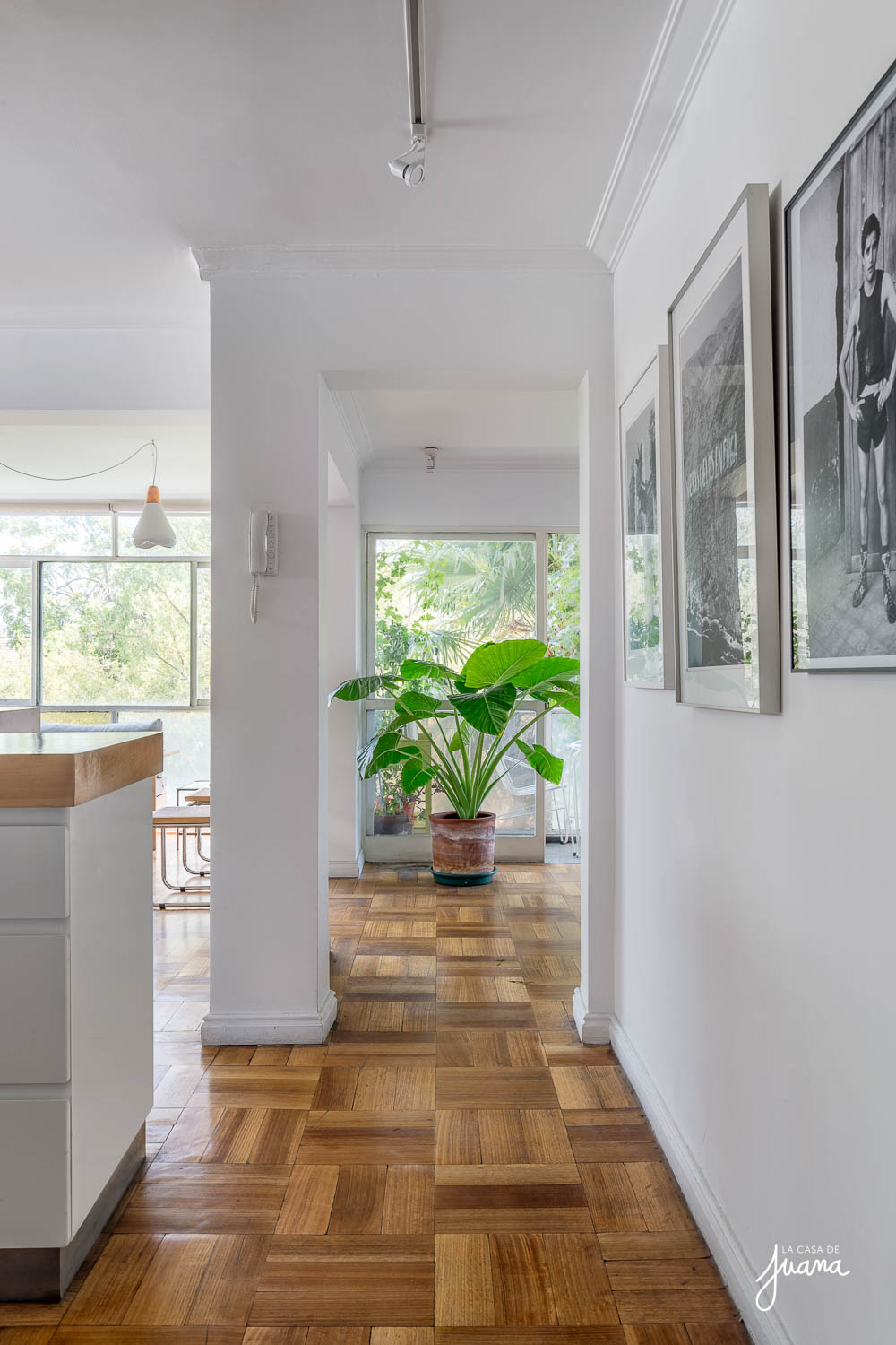 imagen PISO POCURO