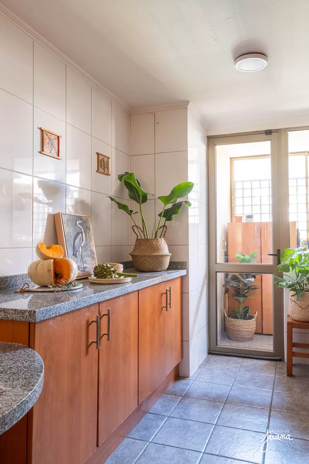 Piso_Domingo_Bondi_image_19