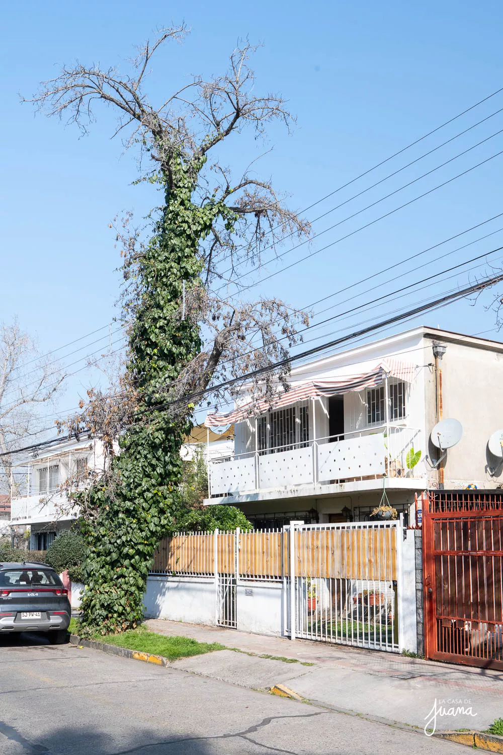 Piso_Arquitecto_Pauly_image_35