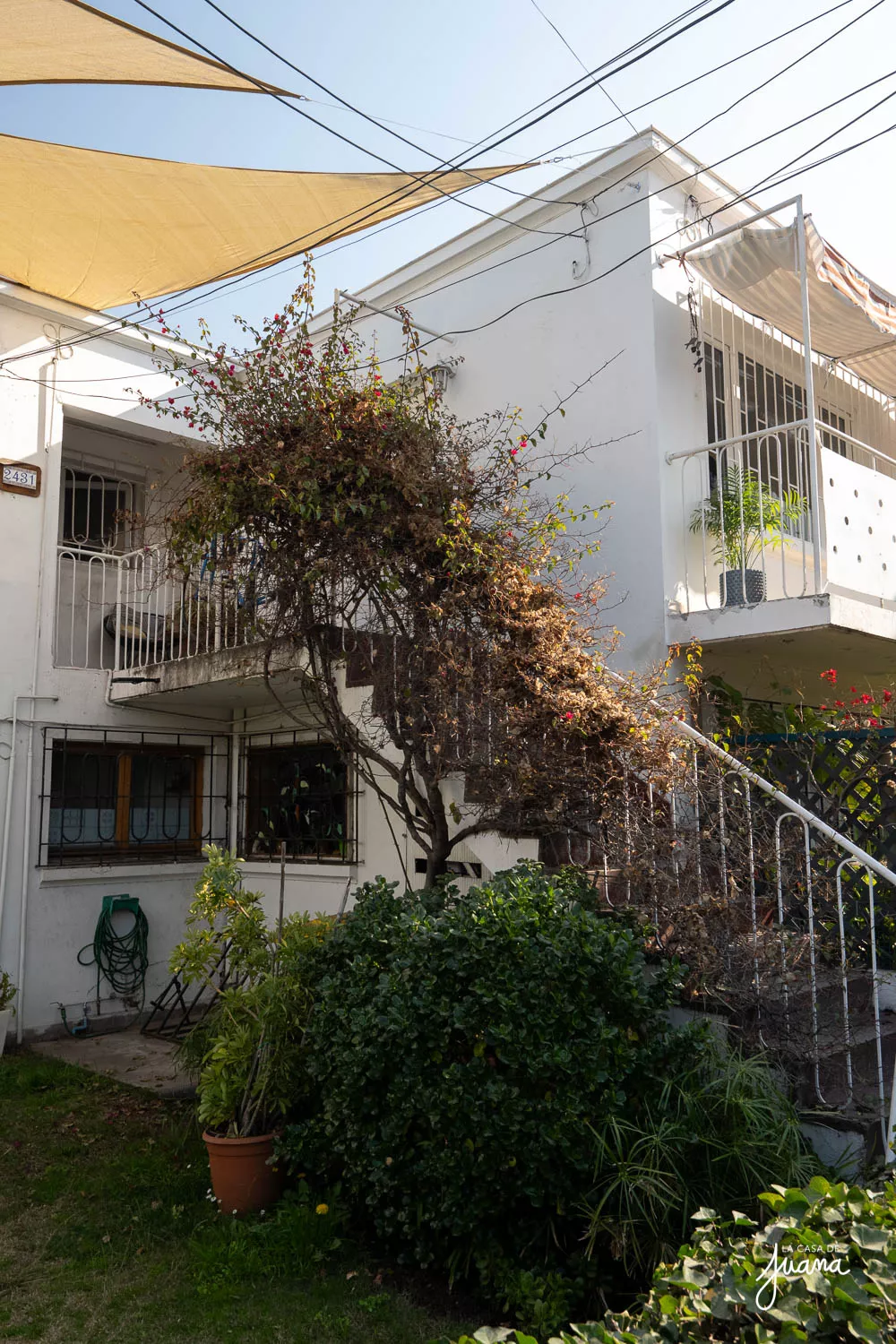 Piso_Arquitecto_Pauly_image_36