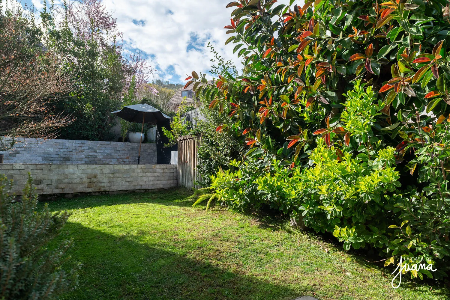 Casa_General_Blanche_image_17