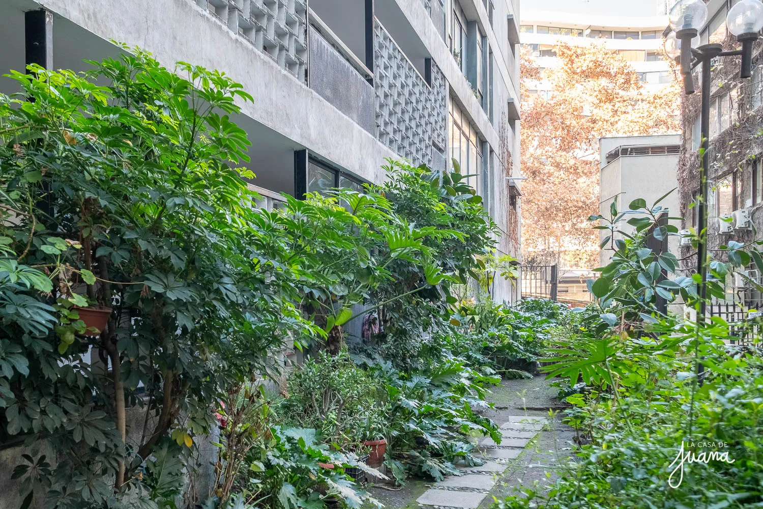 Piso_Providencia_II_image_31