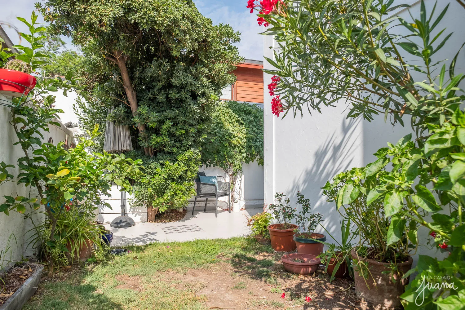 Casa_Fernando_de_Aragón_image_23