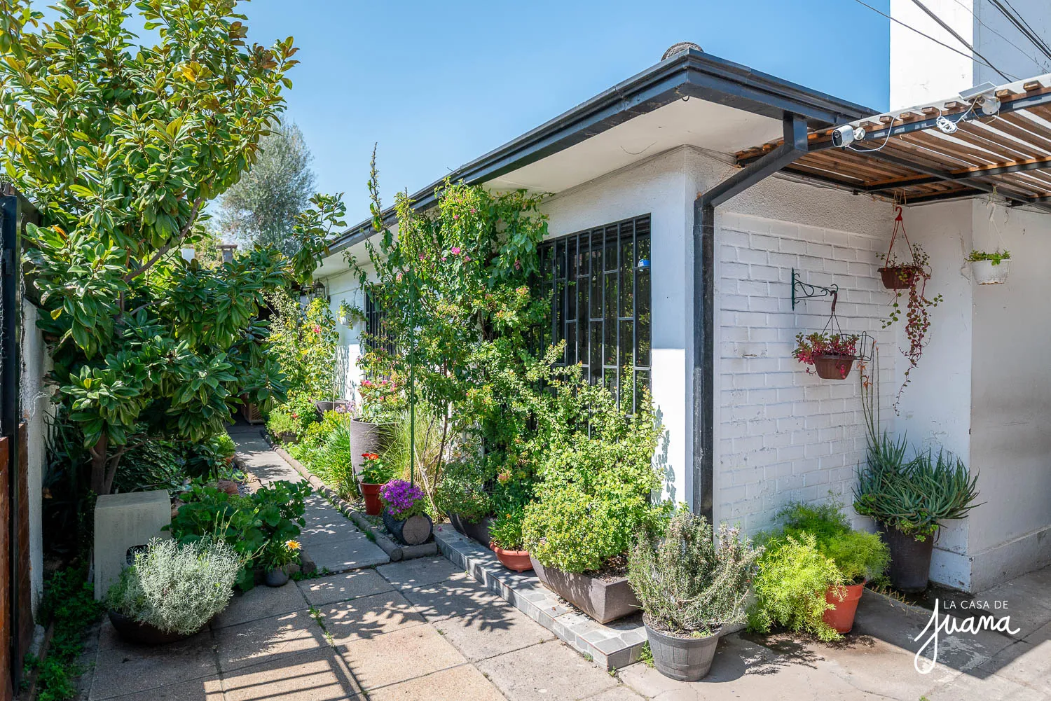 Casa_Manuel_Barrios_image_2