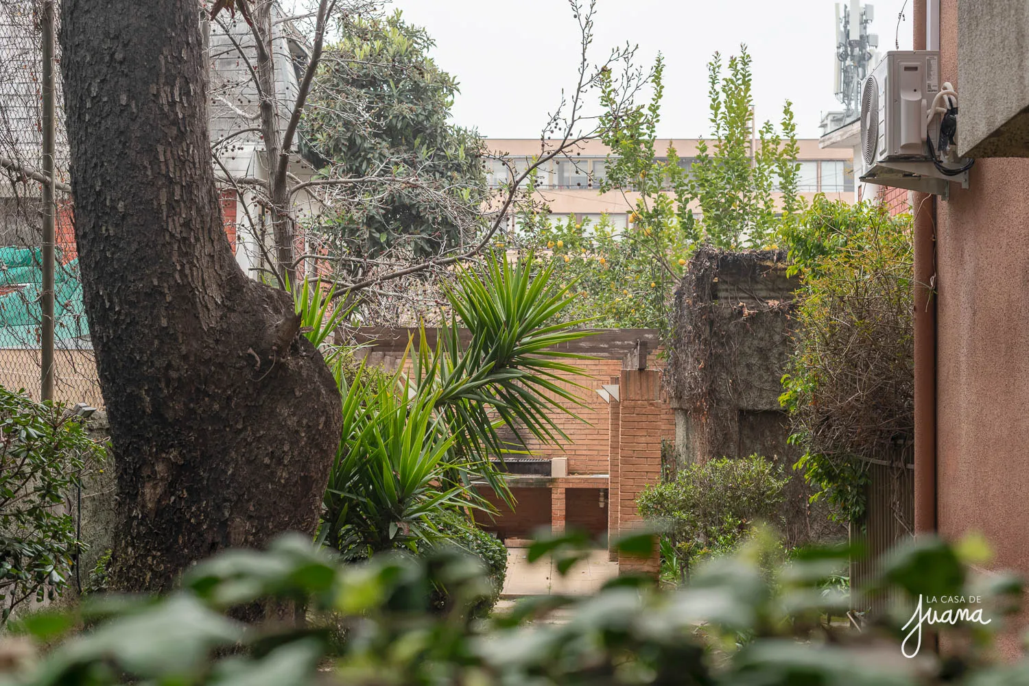 Patio_Augusto_Villanueva_image_8