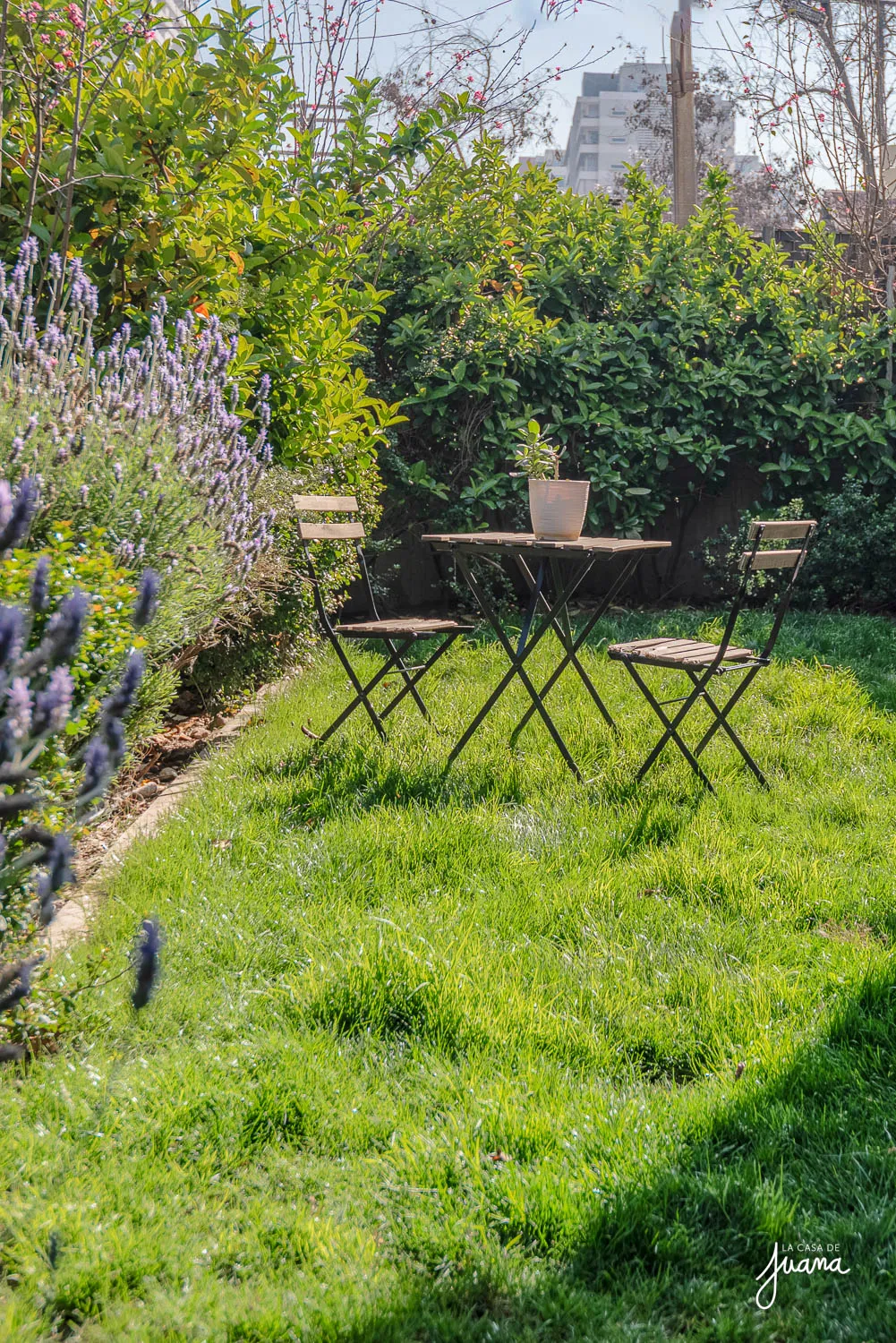 Patio_Monseñor_Eyzaguirre_image_13