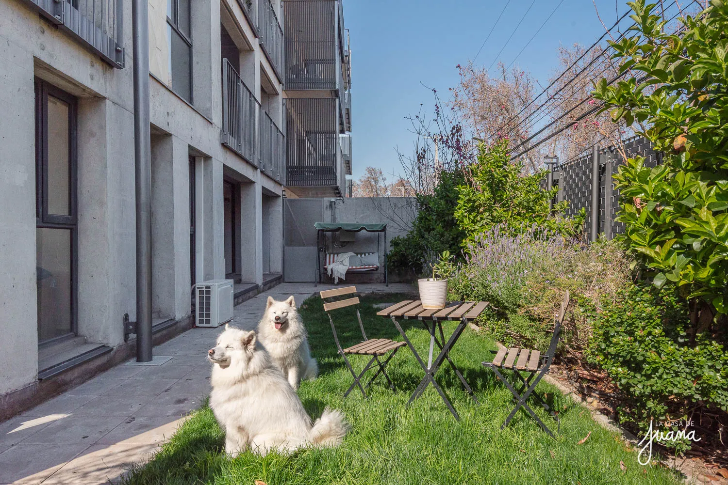 Patio_Monseñor_Eyzaguirre_image_2