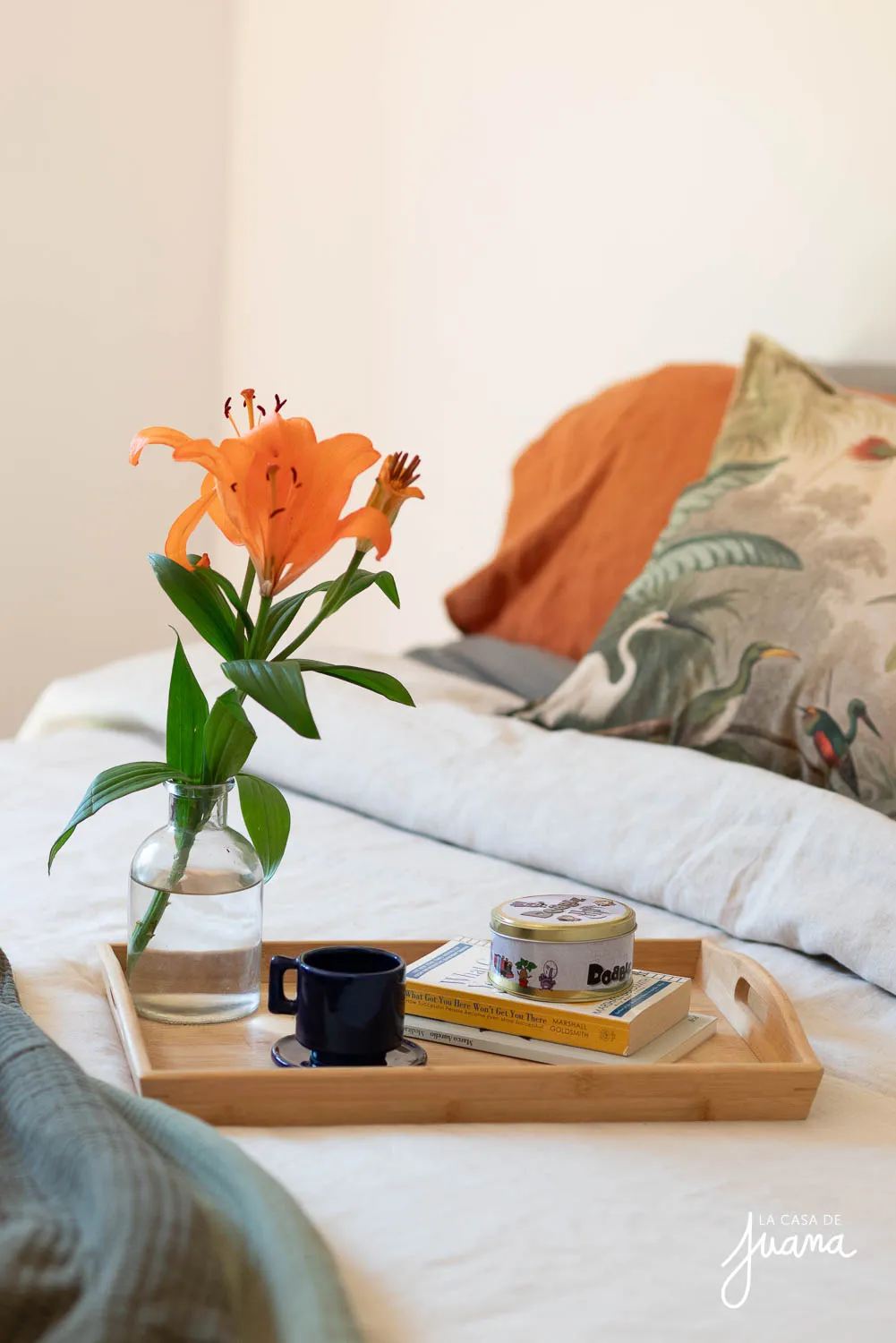 Casa_Cerro_El_Sombrero_image_23