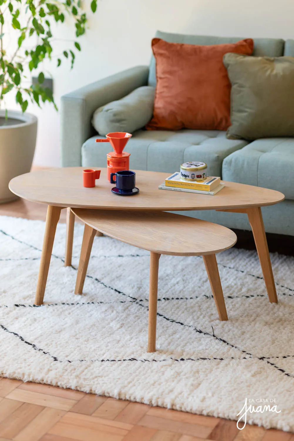 Casa_Cerro_El_Sombrero_image_5