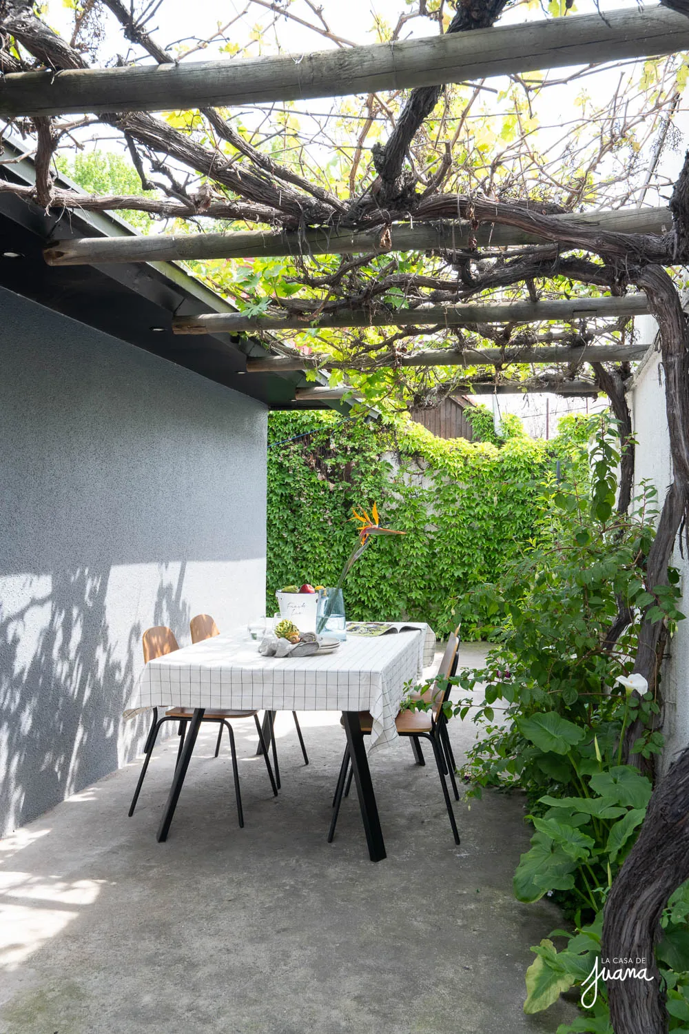 Casa_La_Guaica_image_19
