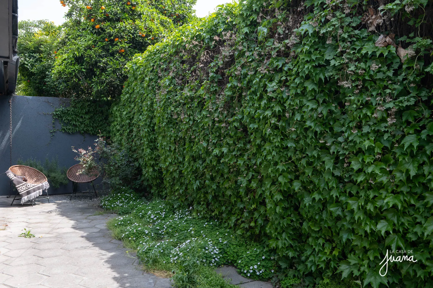 Casa_La_Guaica_image_21