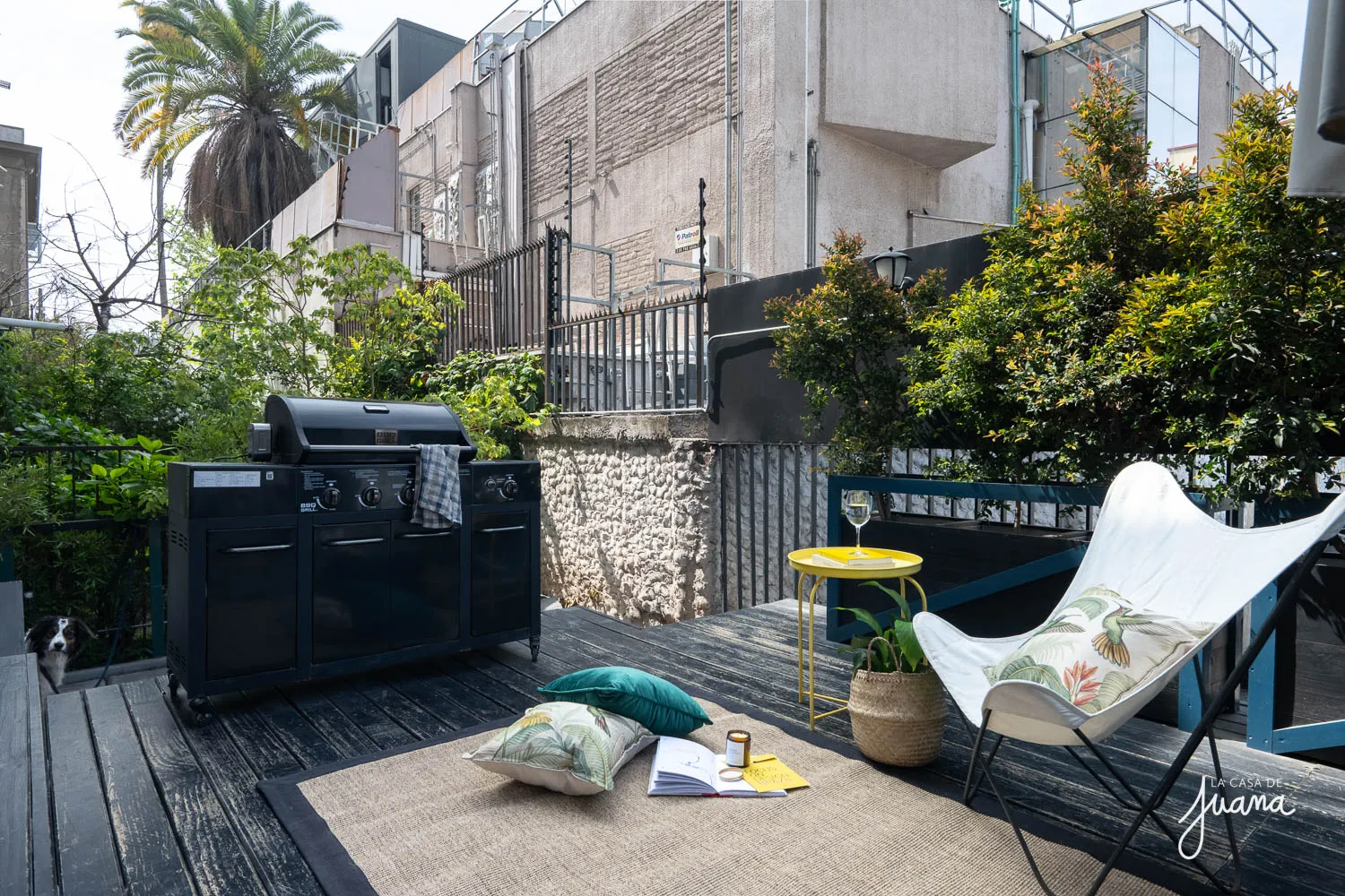 Patio_California_image_2