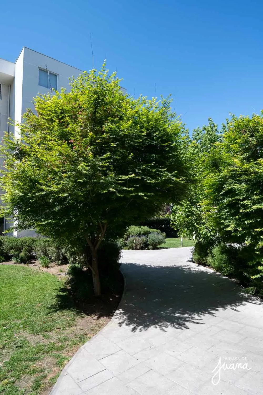 Patio_La_Verbena_image_47