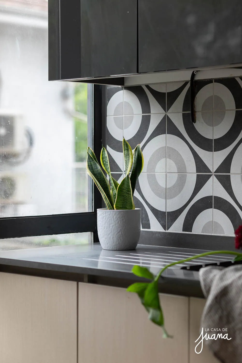 Piso_Bernarda_Morin_image_20