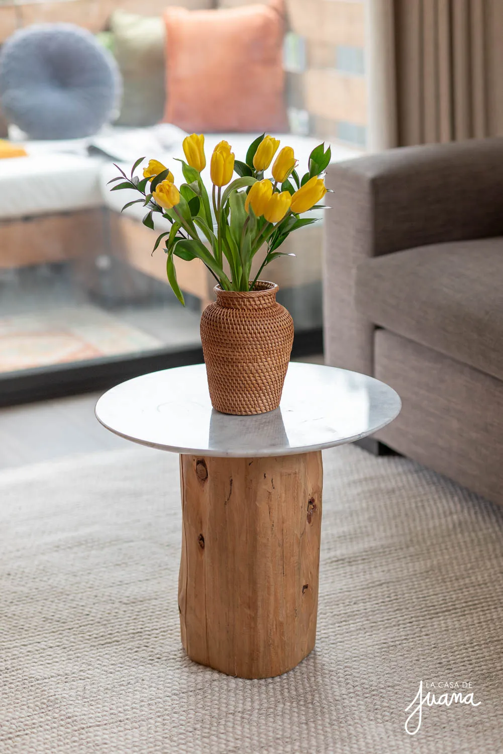 Piso_Bernarda_Morin_image_5