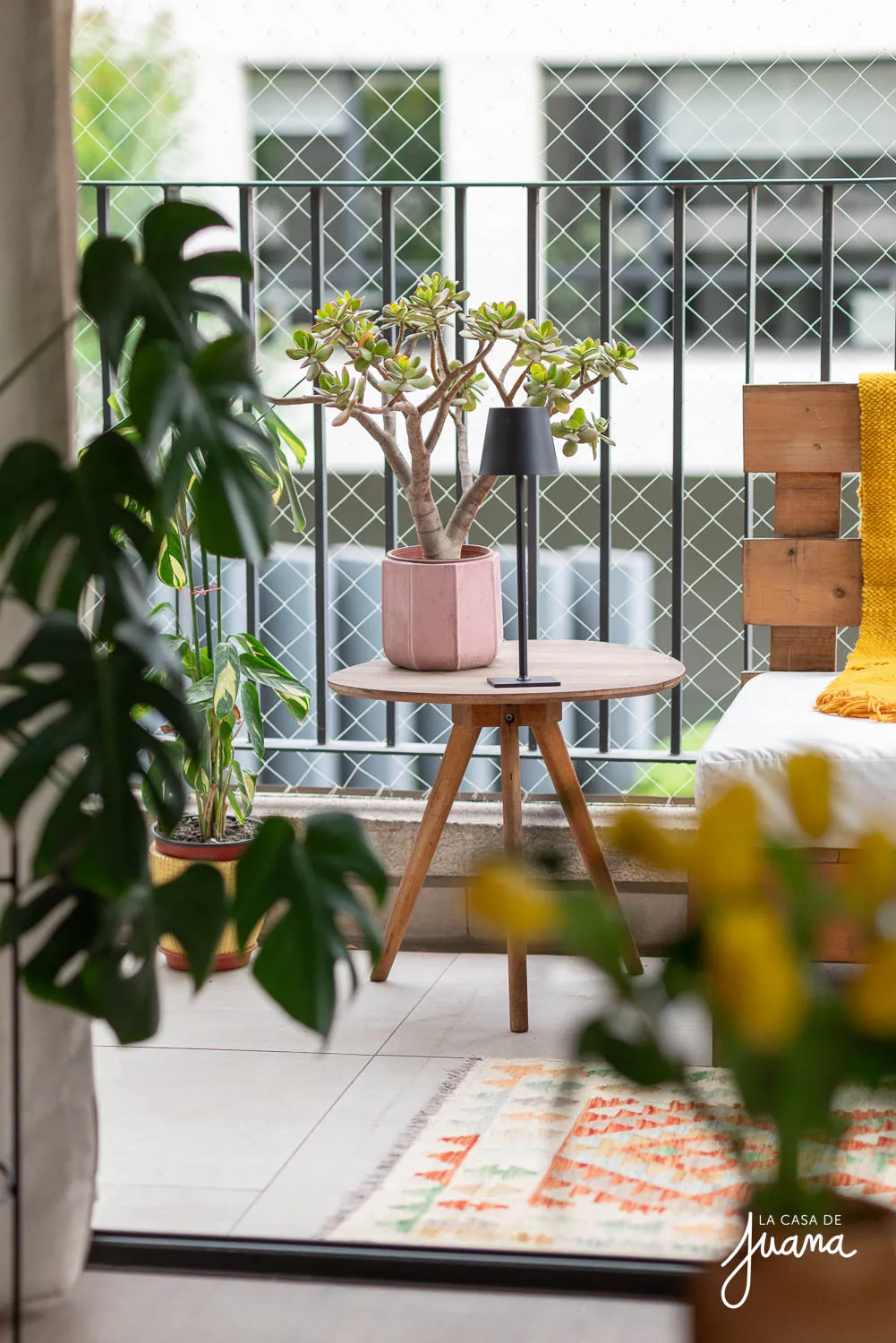 Piso_Bernarda_Morin_image_8