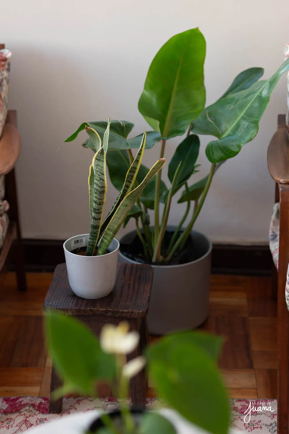 Piso_María_Luisa_Santander_image_51