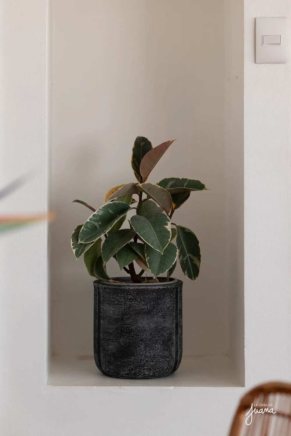 Piso_María_Luisa_Santander_image_52