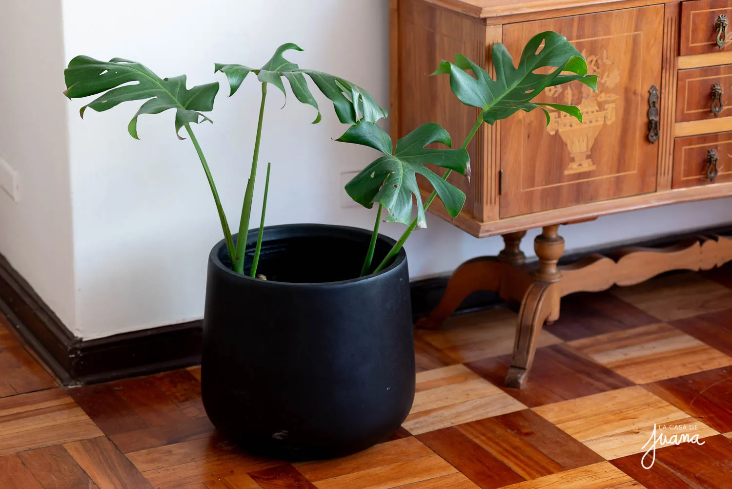 Piso_María_Luisa_Santander_image_53