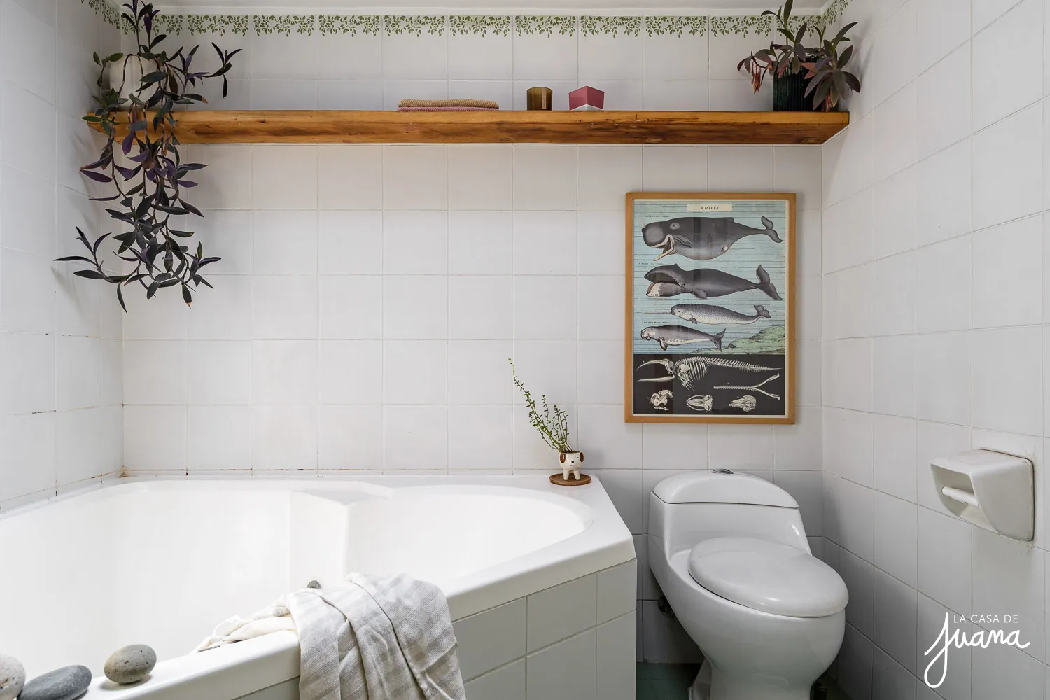 Casa_Carlos_Silva_vildosola_image_29