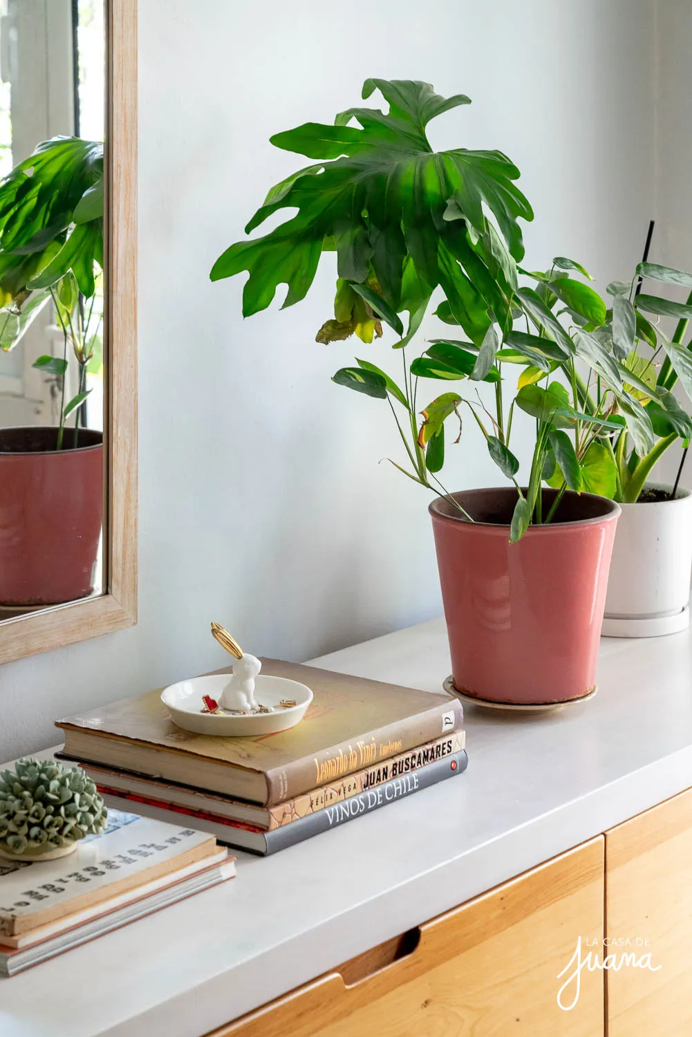 Casa_Guillermo_Franke_image_22