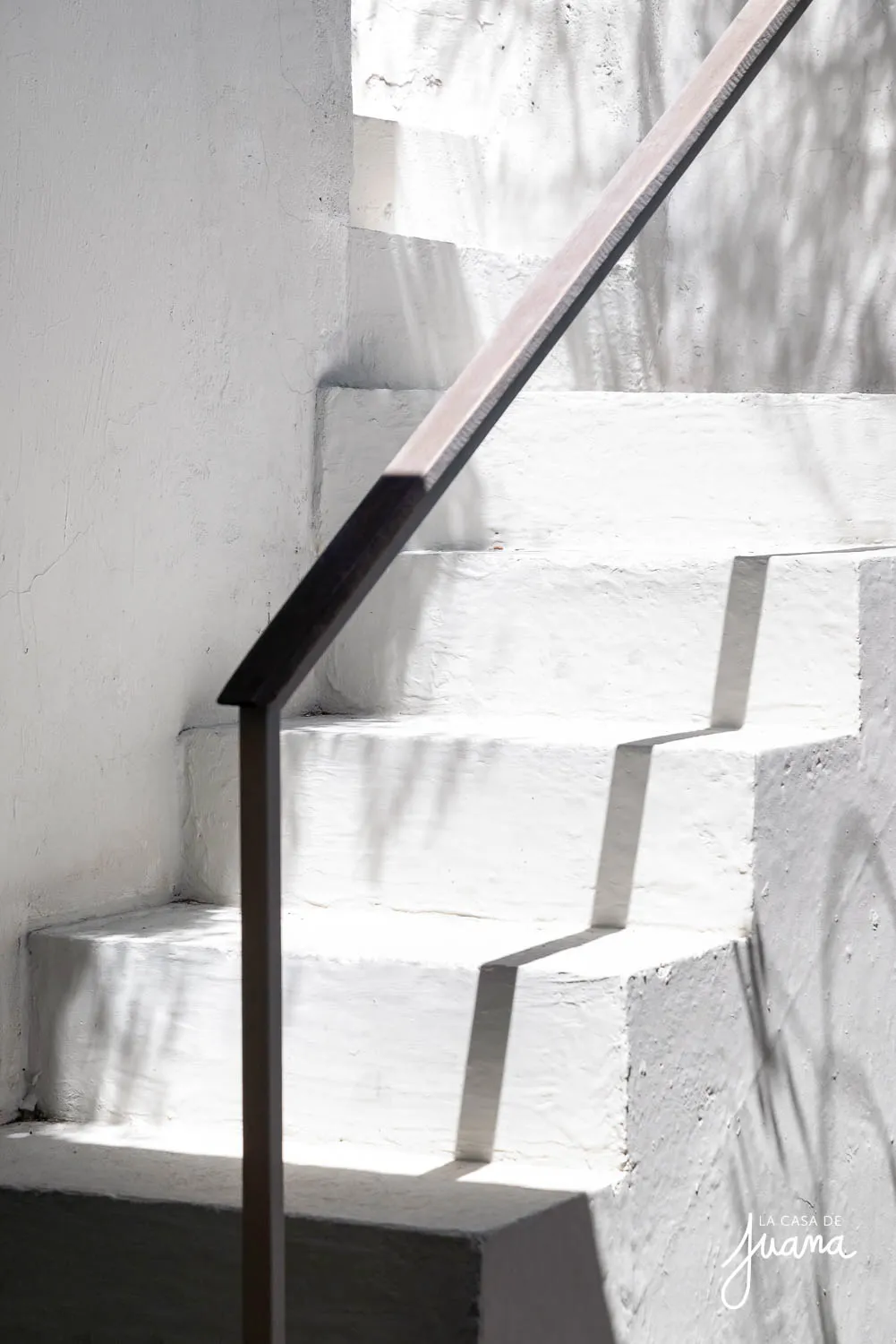 Casa_Guillermo_Franke_image_39