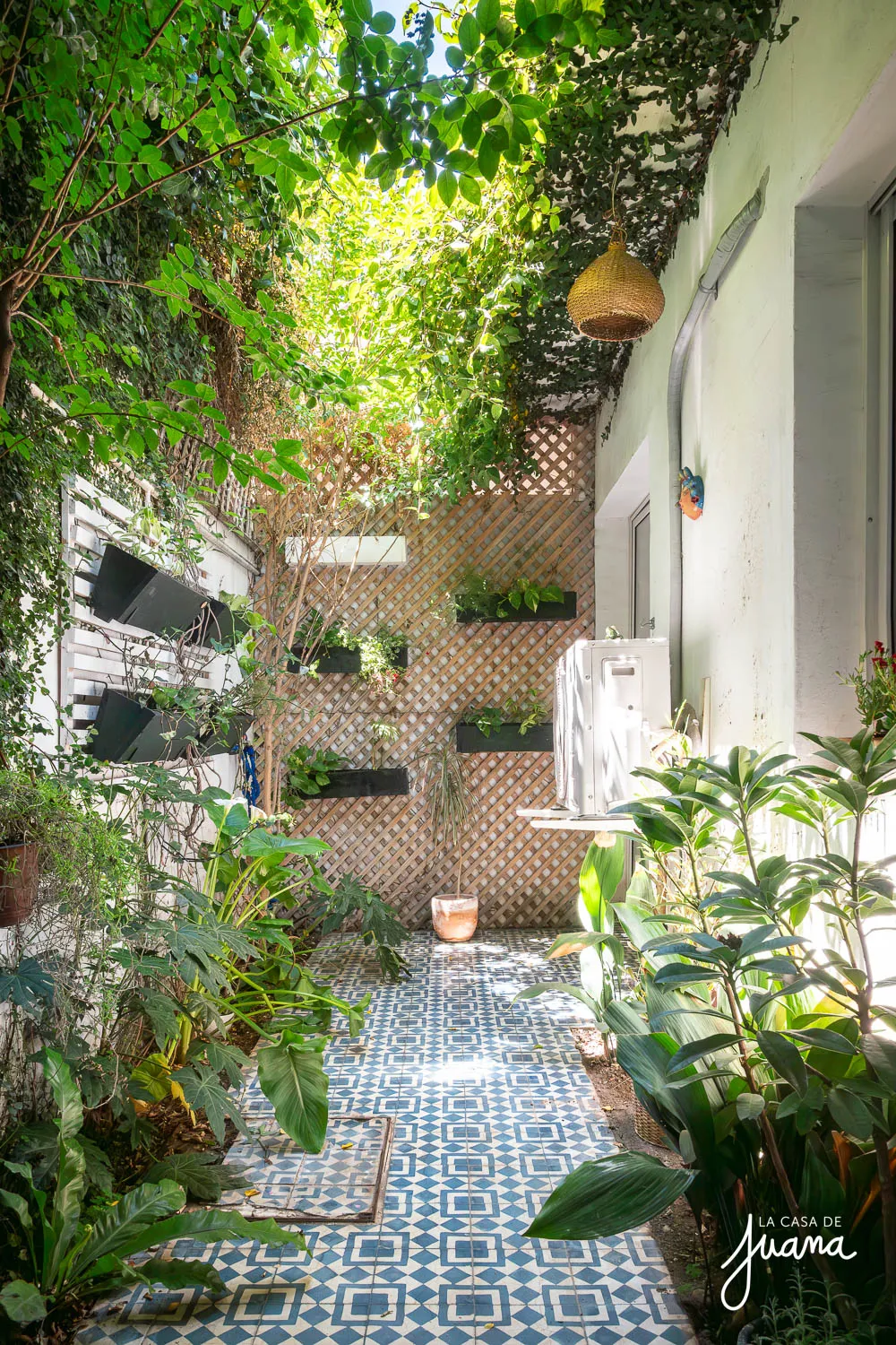 Casa_Guillermo_Franke_image_4