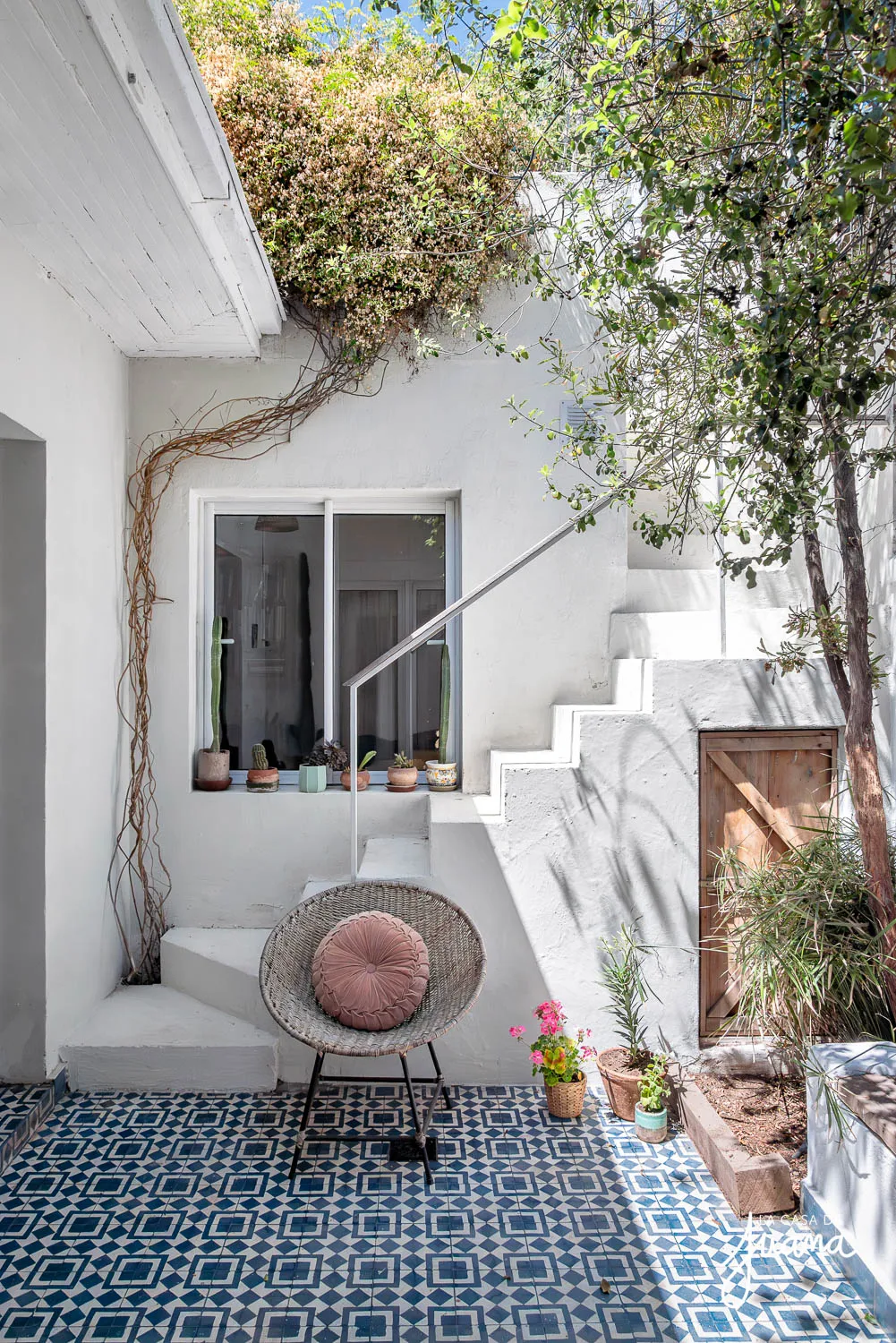 Casa_Guillermo_Franke_image_41