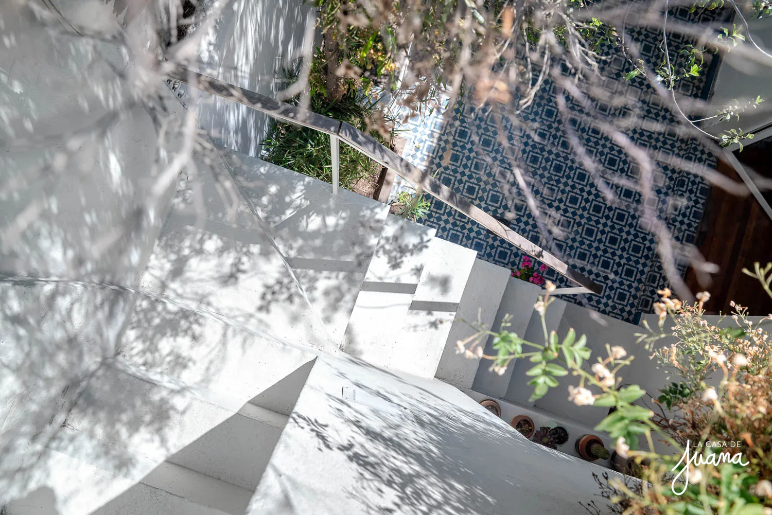 Casa_Guillermo_Franke_image_43