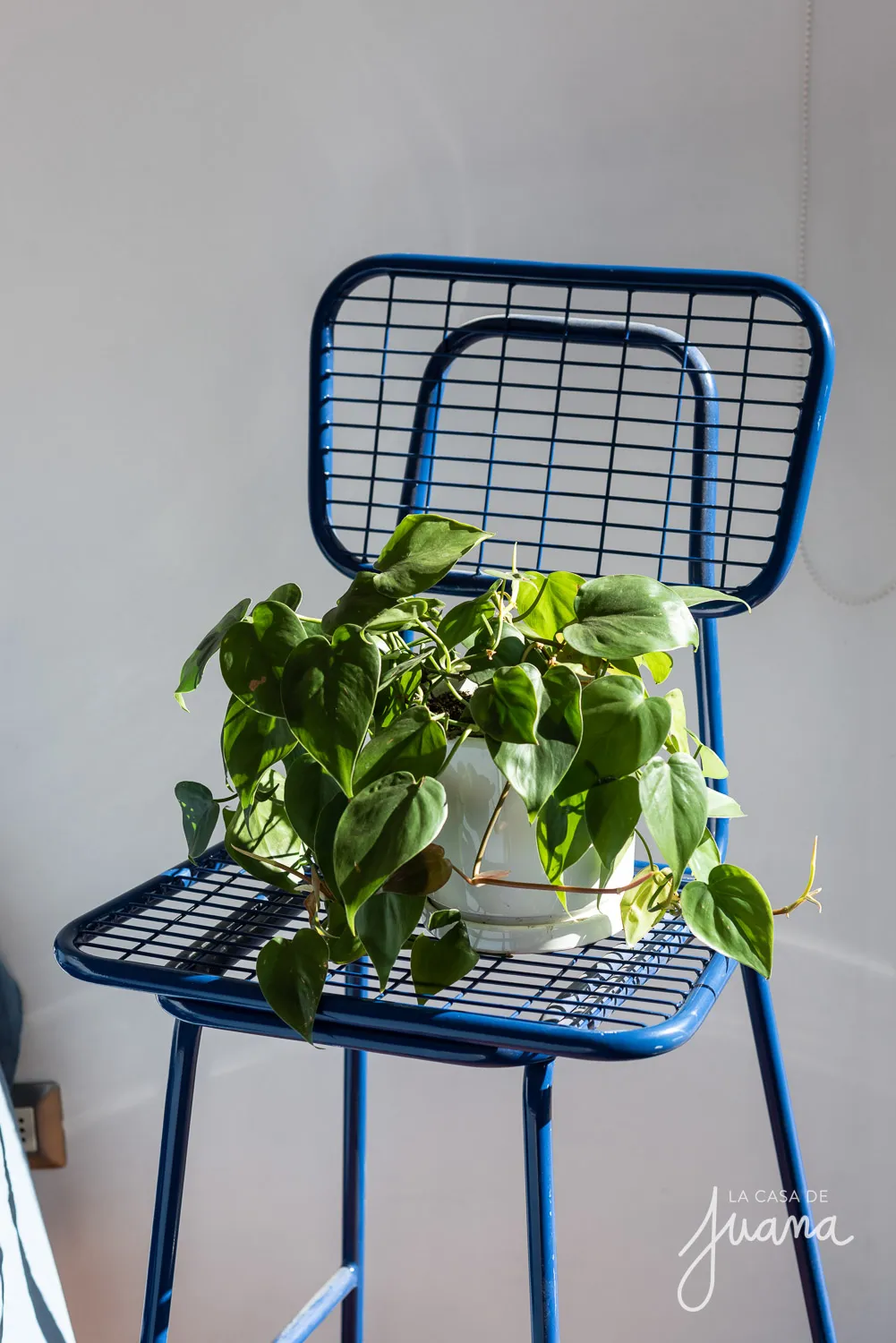 Casa_Los_Almendros_image_58