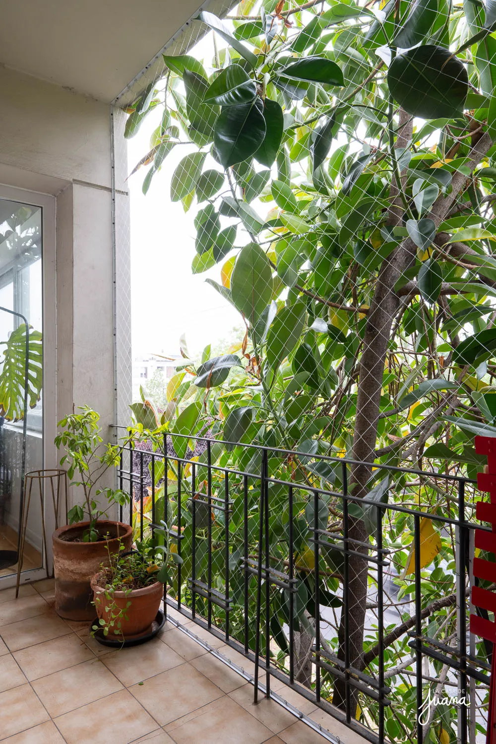 Piso_Martín_de_Zamora_image_10