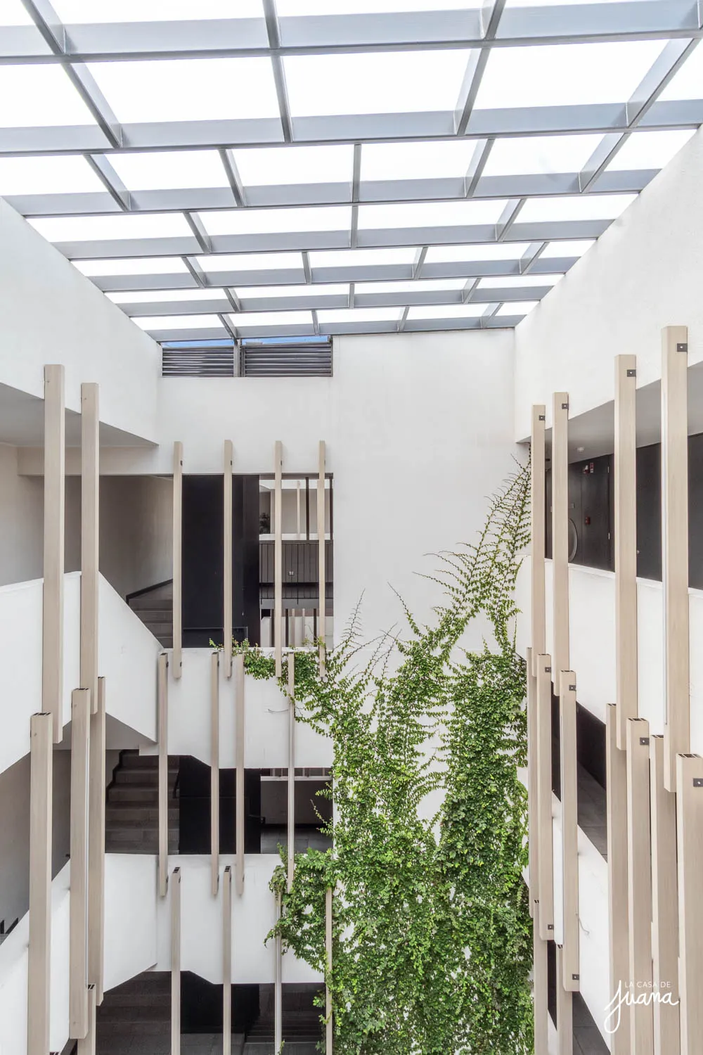 Piso_Pascual_Baburizza_image_41