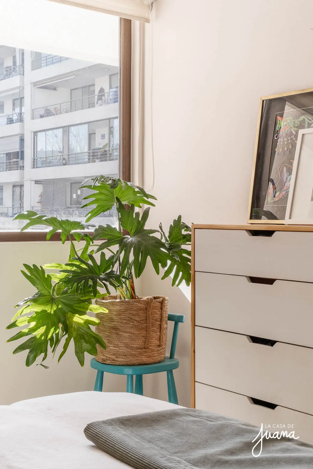 Piso_República_de_Cuba_image_14